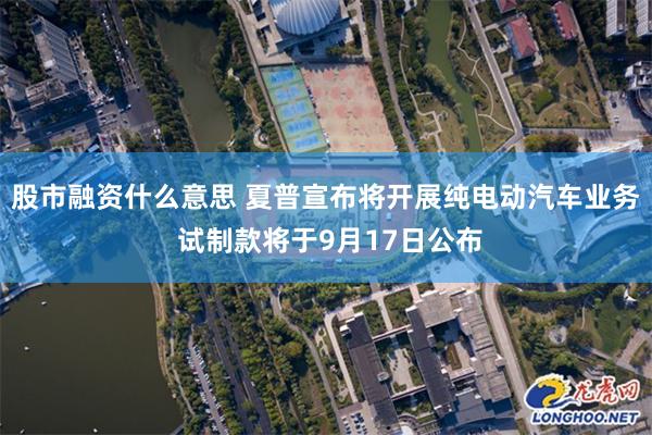 股市融资什么意思 夏普宣布将开展纯电动汽车业务 试制款将于9月17日公布