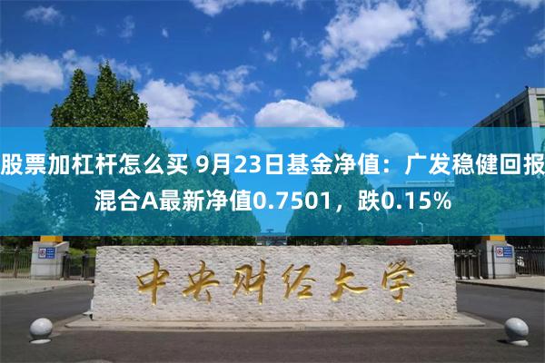 股票加杠杆怎么买 9月23日基金净值：广发稳健回报混合A最新净值0.7501，跌0.15%