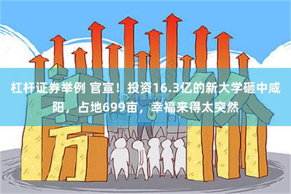 杠杆证券举例 官宣！投资16.3亿的新大学砸中咸阳，占地699亩，幸福来得太突然