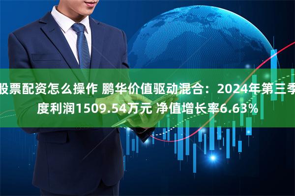 股票配资怎么操作 鹏华价值驱动混合：2024年第三季度利润1509.54万元 净值增长率6.63%