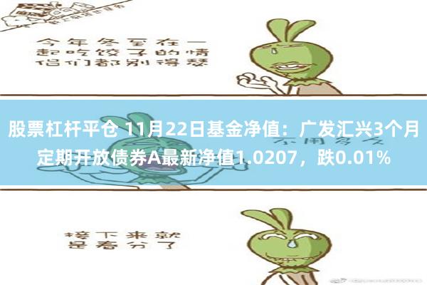 股票杠杆平仓 11月22日基金净值：广发汇兴3个月定期开放债券A最新净值1.0207，跌0.01%