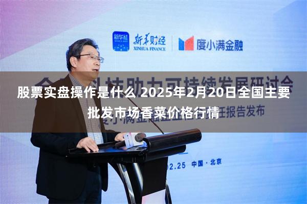 股票实盘操作是什么 2025年2月20日全国主要批发市场香菜价格行情