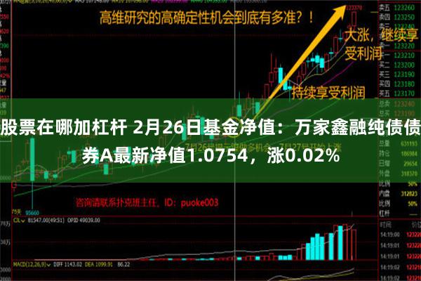 股票在哪加杠杆 2月26日基金净值：万家鑫融纯债债券A最新净值1.0754，涨0.02%